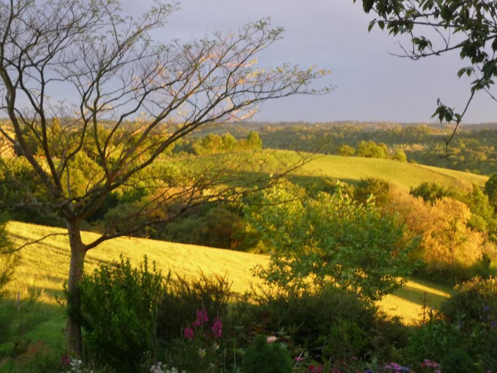 Bed and Breakfast Maison Artigouha Loubieng Exterior foto